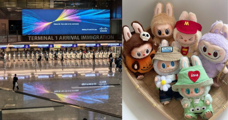 Woman Fined S$5,000 For Bringing Labubu Dolls & Other Items