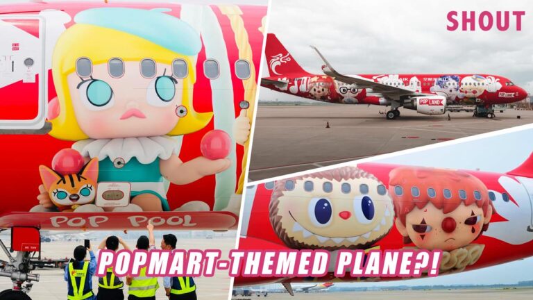 Popmart Themed Airplane With Labubu, Molly, Dimoo & More Onboard Chinese