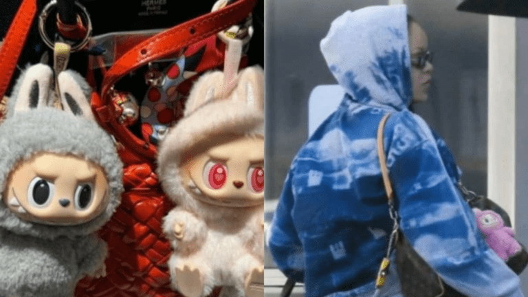 What is labubu? the cute and creepy doll everyone is talking about