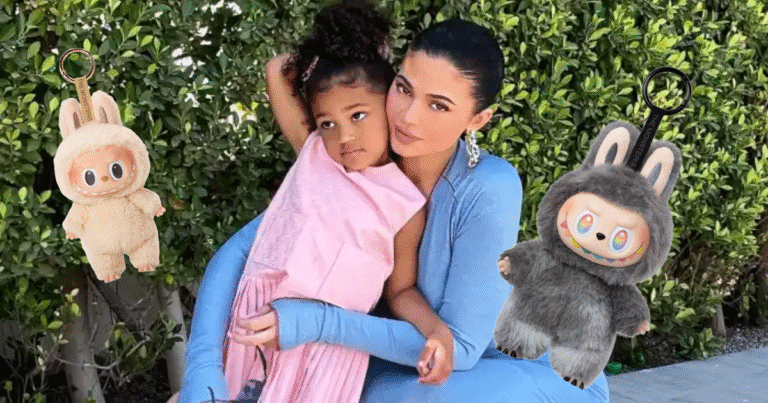 How much is stormi webster's labubu collection really worth?