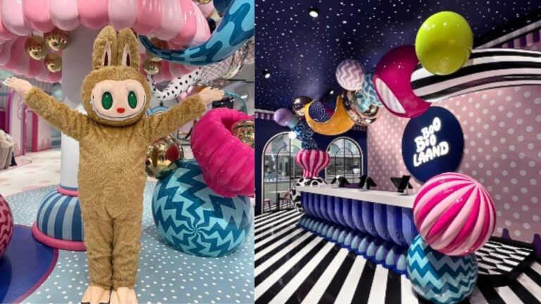 Meet, hug & click selfies with a life size labubu at