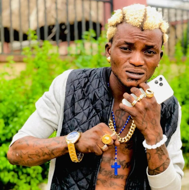 Portable – labubu (mp3 download)