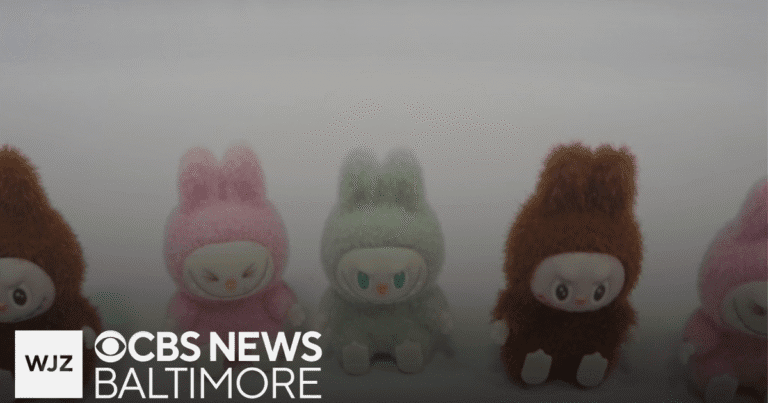 Consumer product safety commission warns fake labubu dolls pose safety