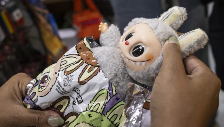 Fake labubu dolls can be deadly for children, u.s. safety