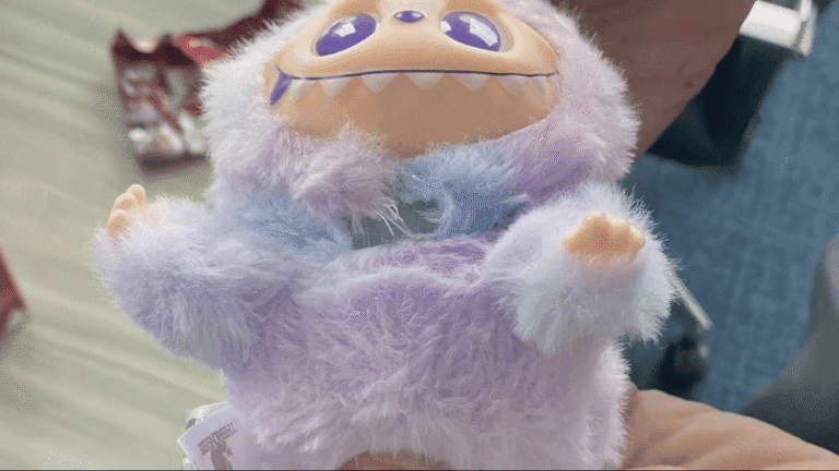 Fake labubu dolls prompt probe by atlantic beach and state