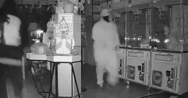 Labubu dolls worth $10,000 stolen from los angeles store