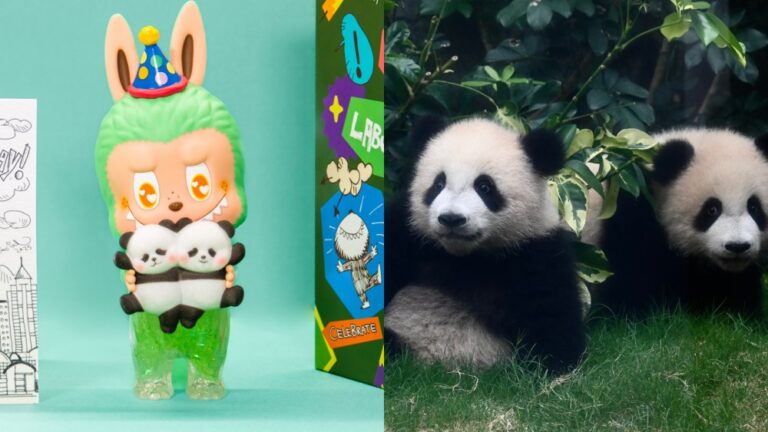 Labubua x panda twins released for hong kong’s panda birthday
