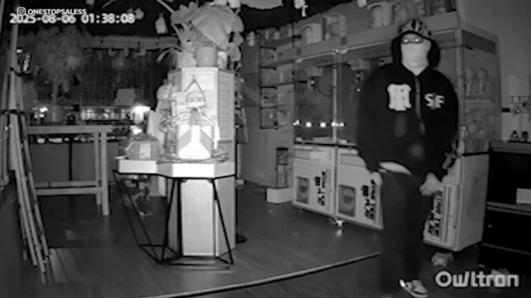 Thousands of dollars' worth of labubu dolls stolen from la