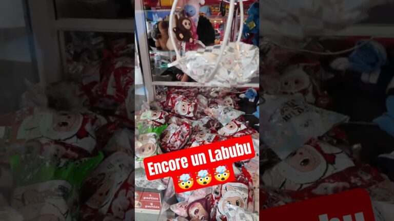 Encore un labubu gagné… mais ce sachet est mystérieux !