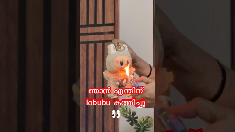 Labubu🙆🏻‍♀️രാക്ഷസ പാവ കത്തിച്ചതെന്തിന്🥺❌ cursed devil toy labubu burnt #viralvideo #labubu