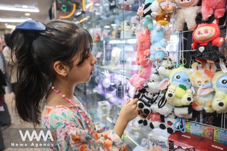 Labubu doll dominates iran’s streets