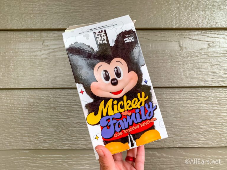 All of the disney labubus you can buy online right