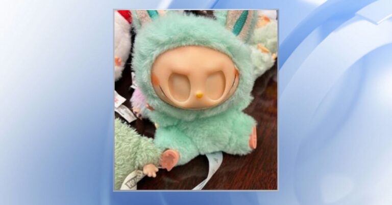 Counterfeits found for sale at local universities, flea markets, fairs :: WRAL.com Counterfeits found for sale at local universities, flea markets, fairs