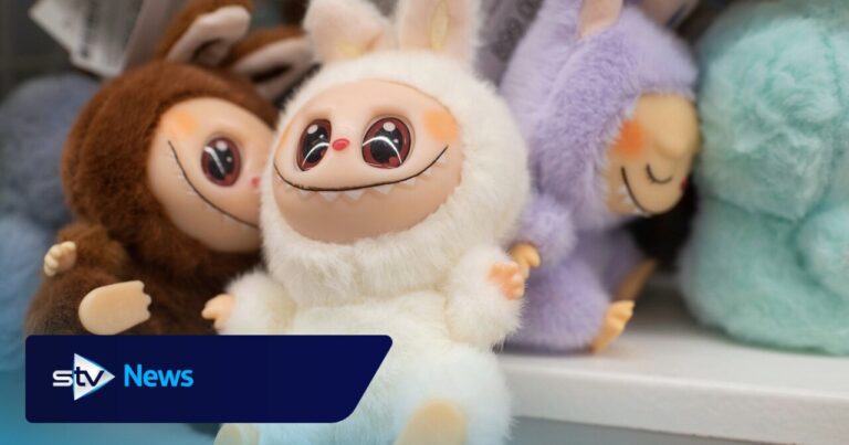 Fake Labubu dolls and fashion items seized from Renfrewshire Fake labubu dolls and fashion items seized from renfrewshire
