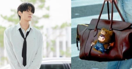 No more labubu? bts' v sparks hirono living wild doll