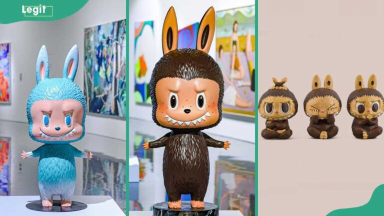 Just a toy? These 10 most expensive Labubu prove how