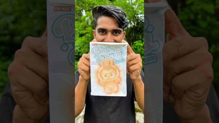 Labubu mystery box പൊട്ടിച്ചപ്പോൾ😱🔥 #shorts #viralshorts #shortsfeed #short #malayalam